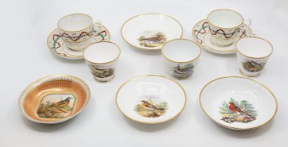 Three early 19th century Spode cups and saucers with British bird decoration, together with an early