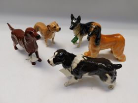 Collection of Five Beswick dogs, Alsatian, Springer, Afghan, Bull Terrier and Irish Setter.