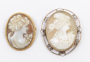 A 9ct gold shell cameo , within a rope edge gold mount, size approx 30 x 38mm, total gross weight