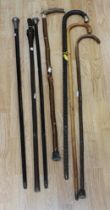 A collection of walking canes/sticks to include; an engine turned London silver topped ebonised