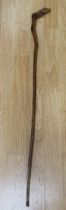 An early 20th century possibly Hawthorn wooden walking stick, with novelty carved Pointer dog to