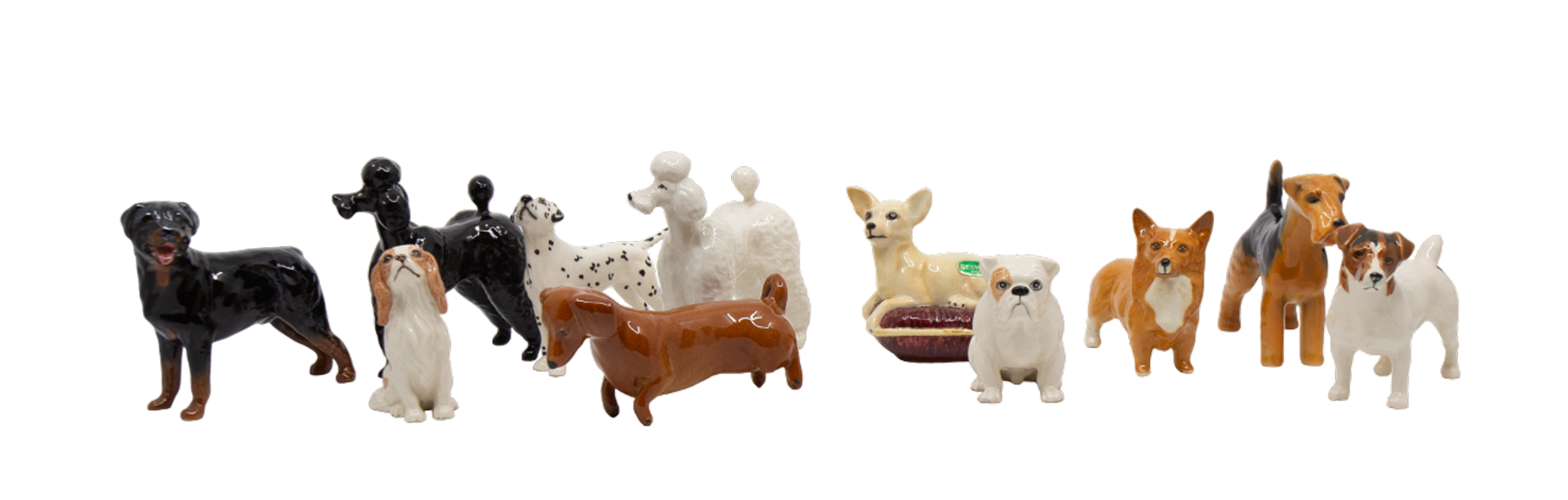 Collection of mixed small dog breeds by John Beswick, no boxes, eleven in total.