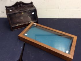 Two 20th century display cabinets, collectors cabinets