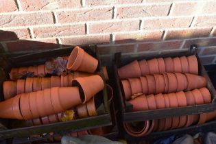 Quantity of terracotta plant pots.