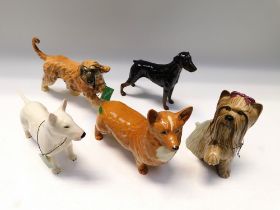 Collection of Five boxed Beswick dogs to include Corgi, Yorkshire Terrier, Bull Terrier, Doberman