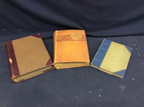 A collection of 3 Edwardian postcard albums, full of period postcards, social, nature etc