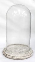 A single glass dome with base, generally in good condition.