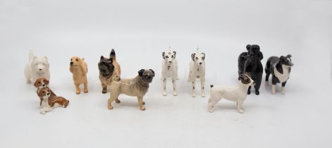 Collection of mixed small dog breeds by Beswick, no boxes, eleven in total.