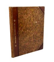 Donaueschinger Narrenblatt [obscure and mysterious German paper], a volume of bound issues, 1874-