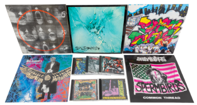 Collection of Rock Hardcore Metal LP Records including Swamp Terrorists, Extreme, Bon Jovi,