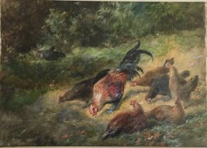 A 19th cent George Hickin (1822-1880) study of chicken, signed lower right, 37cm x 47cm