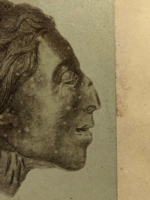 Photograph titled Head of an Egyptian Mummy, dated 1870, in pencil. Pasted to paper Approx