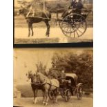 Late 19thC Portrait photograph of Queen Mary, as Princess. Victorian Lady, horse and cart and