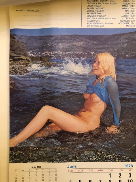 The Reeve glamour calendar, vintage 1978 - Image 4 of 8