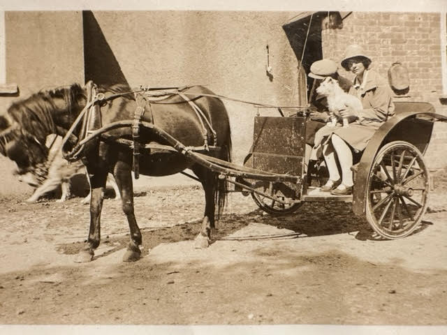 Photographs of Horses and carts, plus a City Cathedral image. - Image 9 of 12