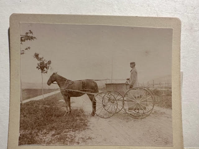 Photographs of Horses and carts, plus a City Cathedral image. - Image 8 of 12