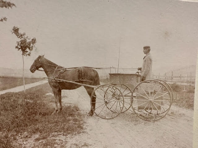 Photographs of Horses and carts, plus a City Cathedral image. - Image 7 of 12