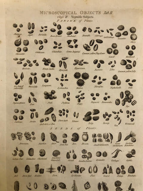 Microscopical Objects, book plates of engravings. 5 large size. - Image 5 of 8