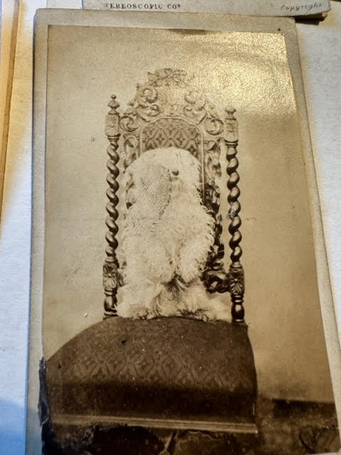 Cabinet cards, Carte de visites and similar. Earliest marked 1861. - Image 3 of 19