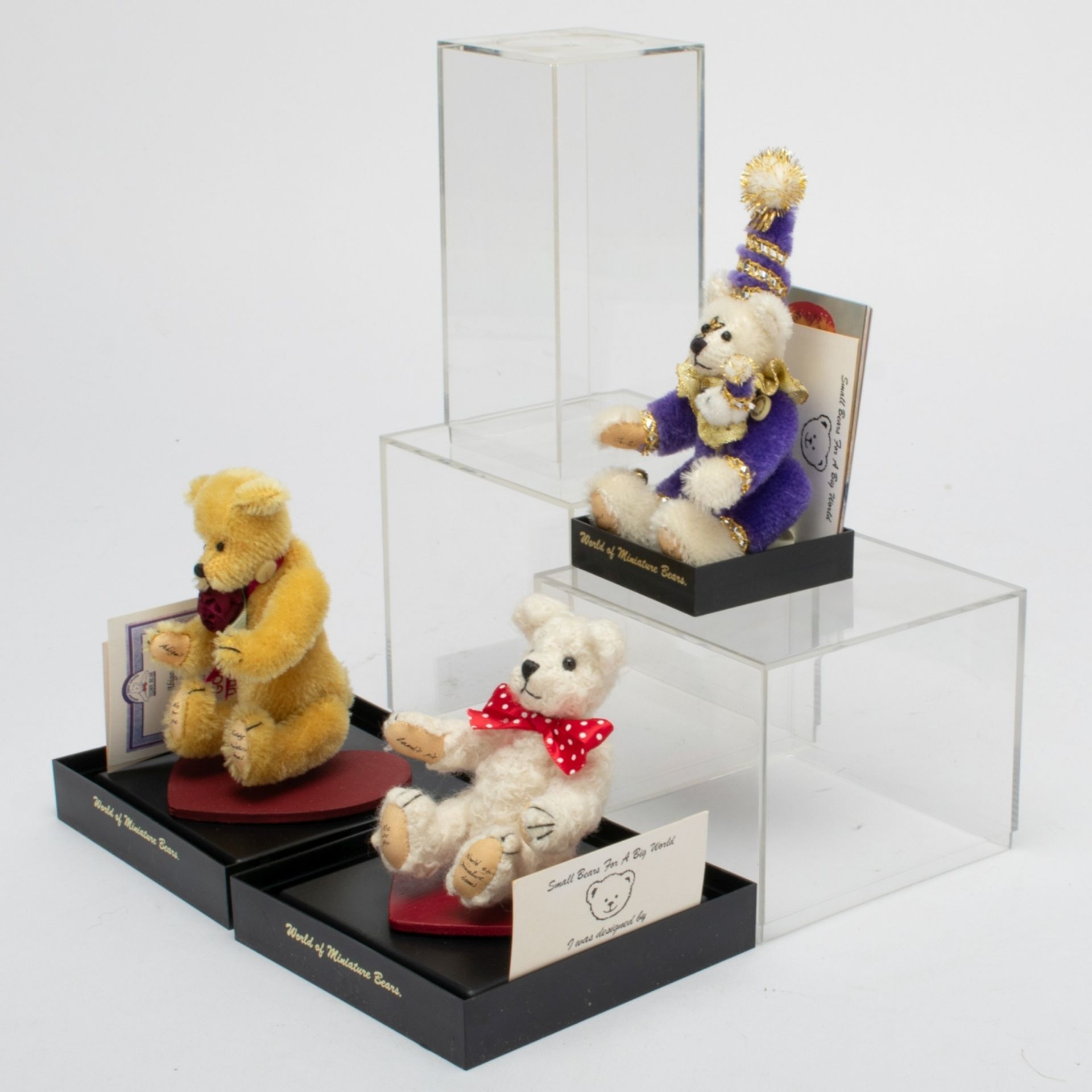Drei Miniatur-Teddys - Bild 4 aus 4