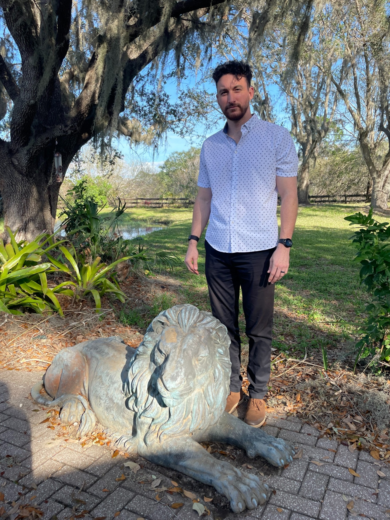 Pair, Monumental Bronze Recumbent Lions - Image 6 of 8