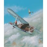 Steve Ferguson (B. 1946) "Polikarpov I-15 Gull"