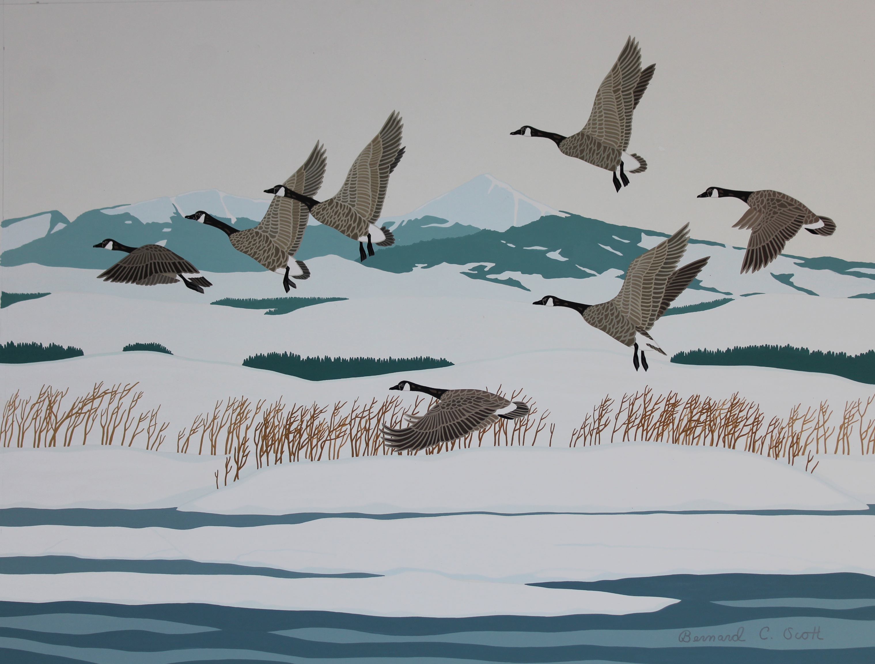 Bernard Scott (20th C.) "Dusky Canadian Geese" W/C