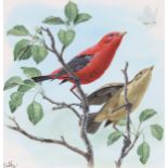 Don Balke (B. 1933) "Scarlet Tanager"