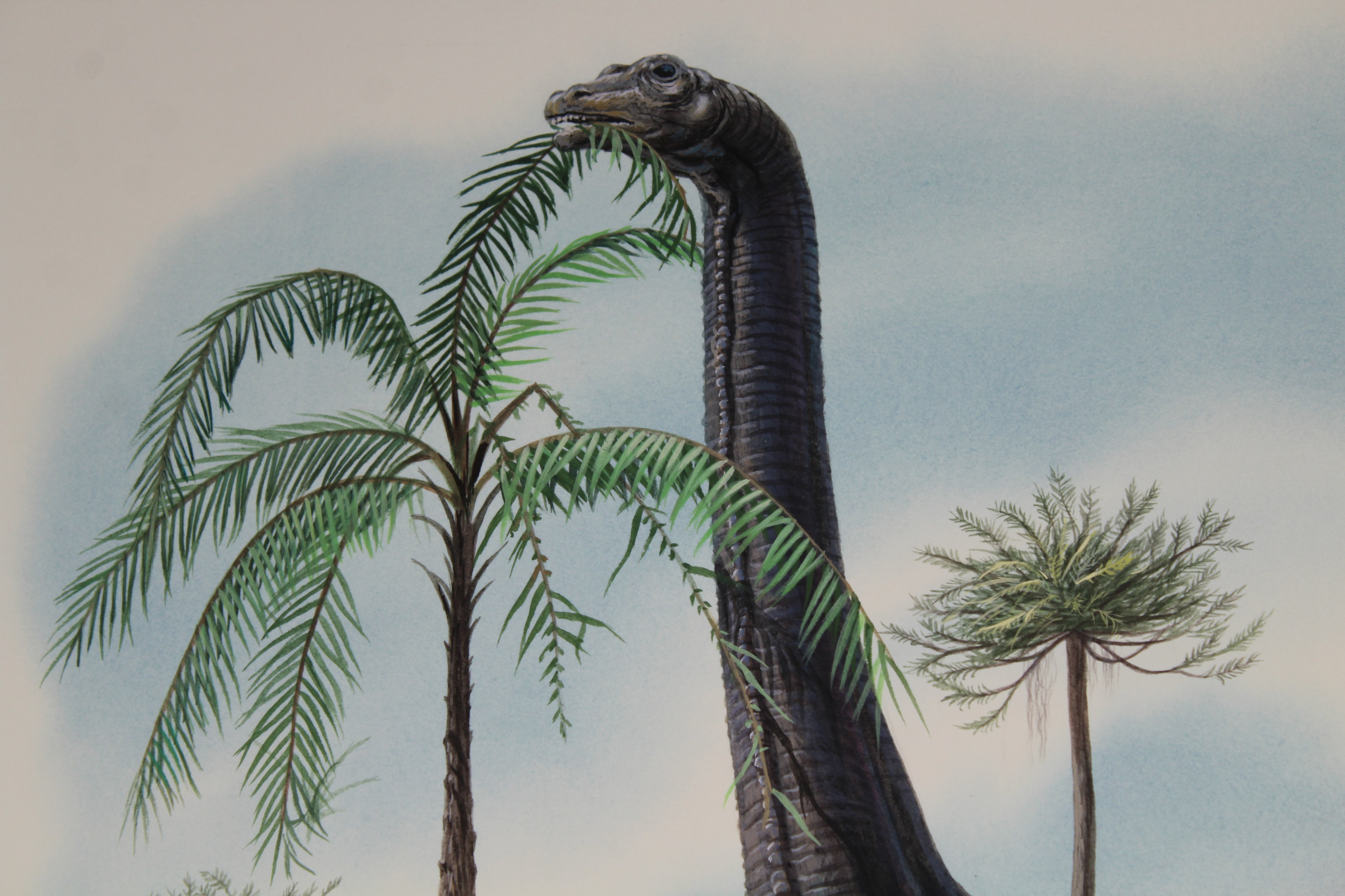 Don Balke (B. 1933) "Brontosaurus" - Image 2 of 4