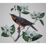 Don Balke (B. 1933) "Varied Thrush"