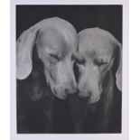 William Wegman "Reflectional" - 2002