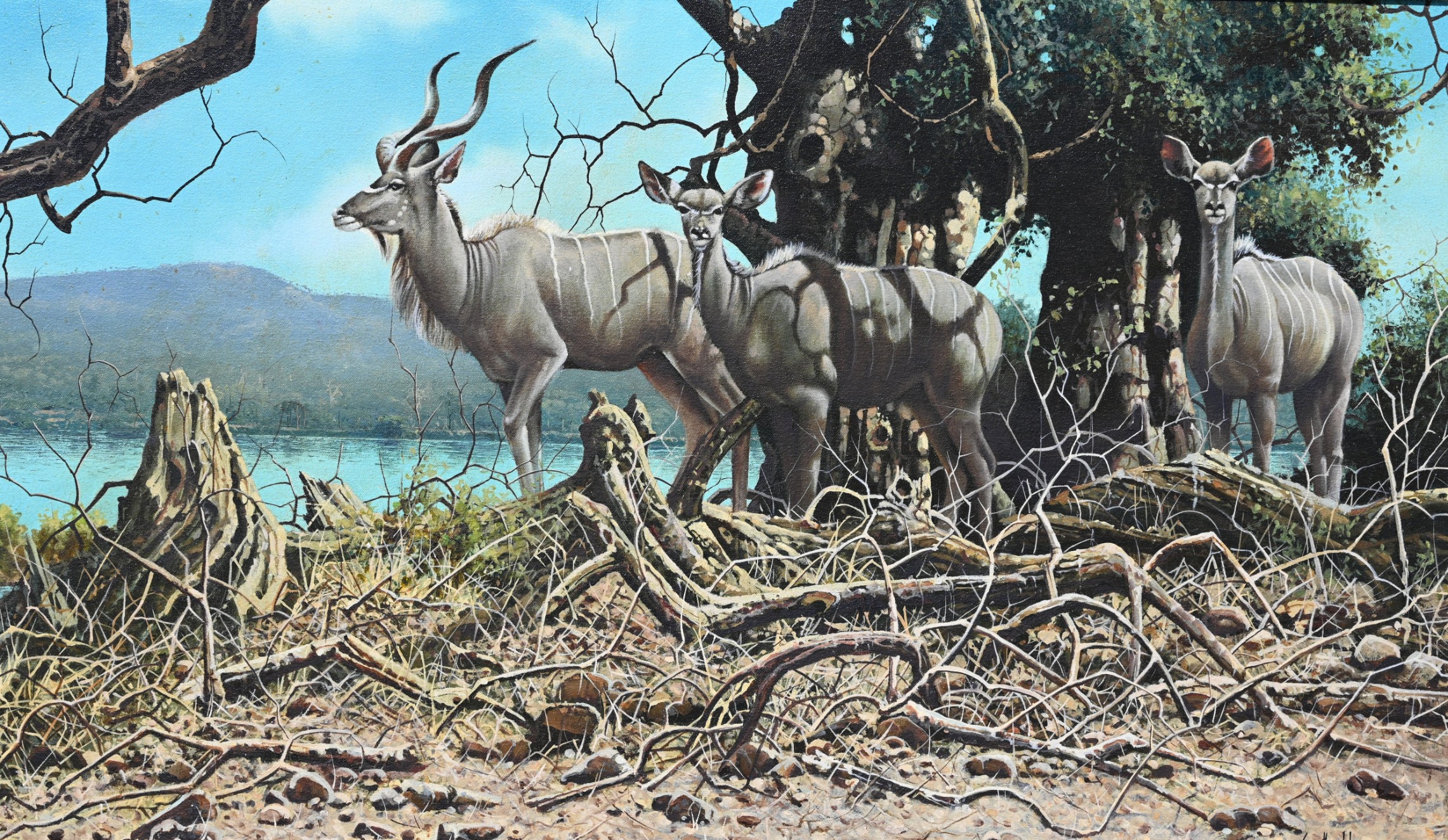 Gareth Hook "Greater Kudu" Original Oil - Bild 3 aus 6