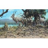 Gareth Hook "Greater Kudu" Original Oil