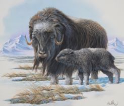 Don Balke (B. 1933) "Musk Ox with Young"