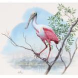 Don Balke (B. 1933) "Roseate Spoonbill"