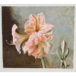 Henrietta Wyeth Color Lithograph, Pink Amaryllis