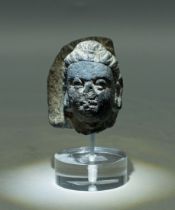 Gandharan Head - Indus Valley