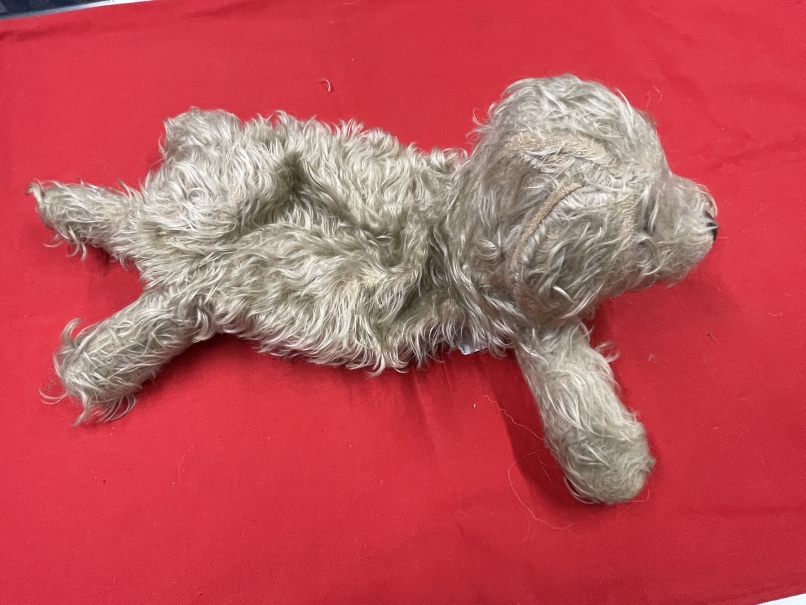 Night dress case in the form of a dog, one eye missing, wool nose. - Image 2 of 5