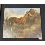 J. Crawford Wood 1914: Oil on canvas horse with trees behind signed lower left and dated 1914,