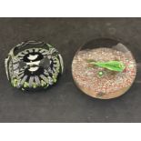 The Mavis and John Wareham Collection: Paperweights: Paul Ysart 'PY' cane swan with concentric