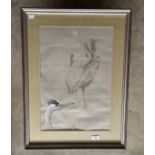 Robin Armstrong 1947 watercolour and pencil bears inscription From heron found frozen on River Meavy