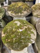 Gardenalia: Pair of staddle stones. Approx. 28ins. high.