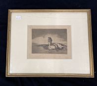 Francisco José De Goya Y Lucientes (1746-1828): Etching/aquatint No Saben el Camino, framed and