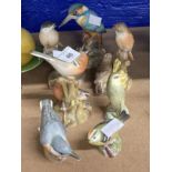 20th cent. Ceramics: Royal Worcester birds, linnets, gold crest, chaffinches, nuthatch, wood