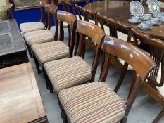 19th cent. Mahogany bar back dining chairs upholstered with striped material, sabre rear legs and