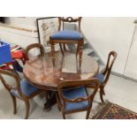 20th cent. Mahogany balloon back dining chairs with carved back supports on turned front legs, set