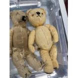 Early 20th cent. Toys: Teddy bears Merrythought plus unmarked gold bear. Both greatly playworn and