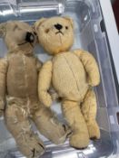 Early 20th cent. Toys: Teddy bears Merrythought plus unmarked gold bear. Both greatly playworn and