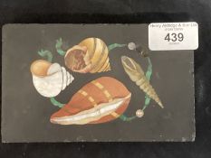 19th cent. Micro mosaic/Pietra Dura plaque decorated with a shell. 6ins. x 3ins.