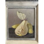 Maxwell Armfield RWS (1881-1972): Cut Quince, tempura 1960, artist's label on reverse with 1960